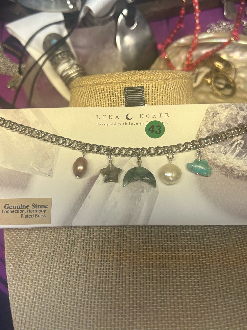 NWOT Luna Norte Genuine Stone Celestial Charm Necklace